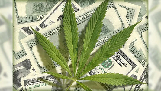 Banking Challenges in the Medical Marijuana Field in Texas