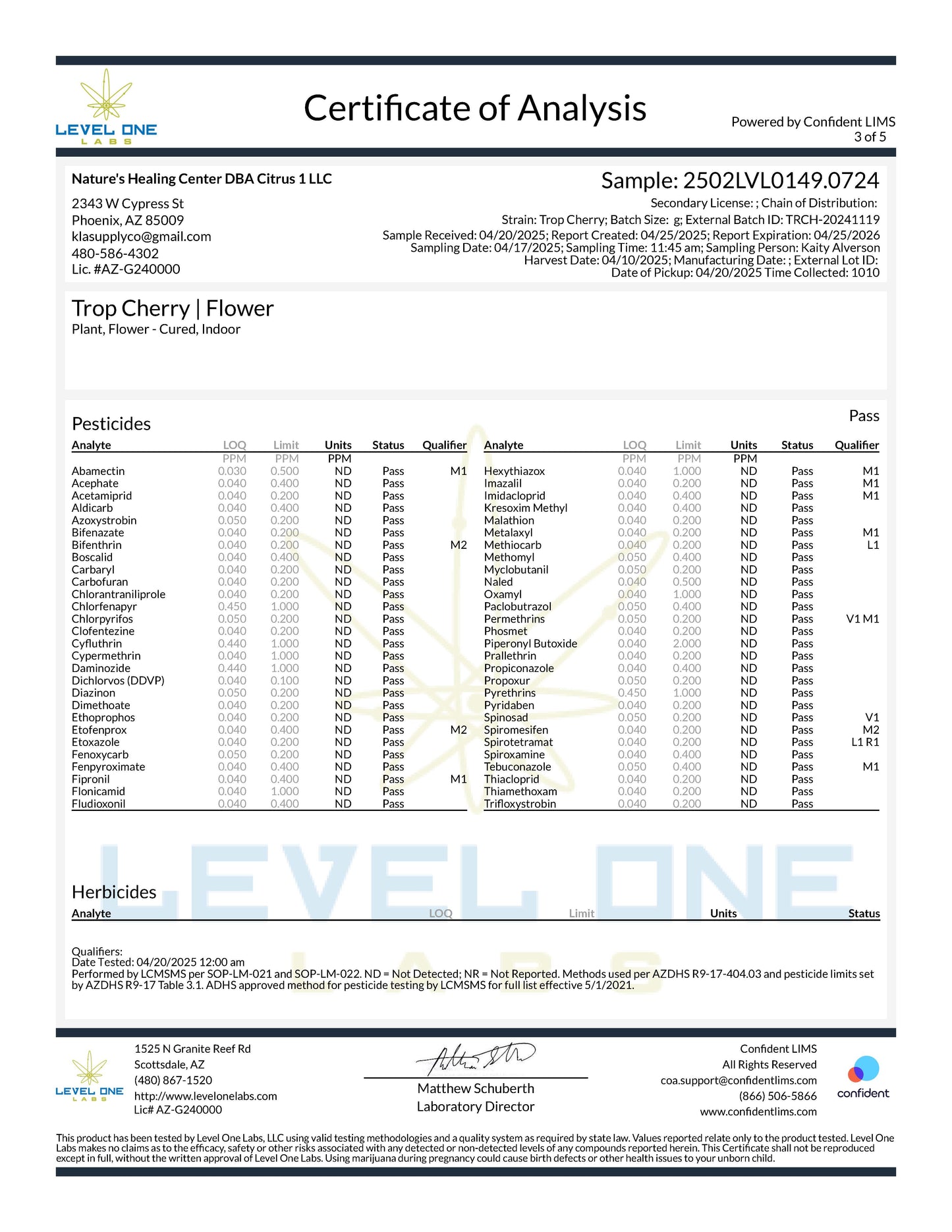 TXMMD Gold Label THCA Premium Flower