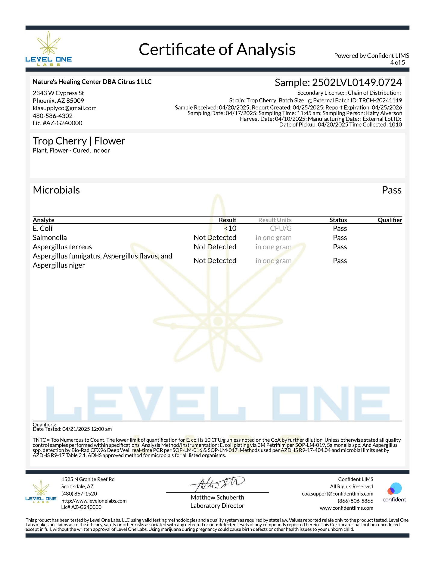 TXMMD Gold Label THCA Premium Flower