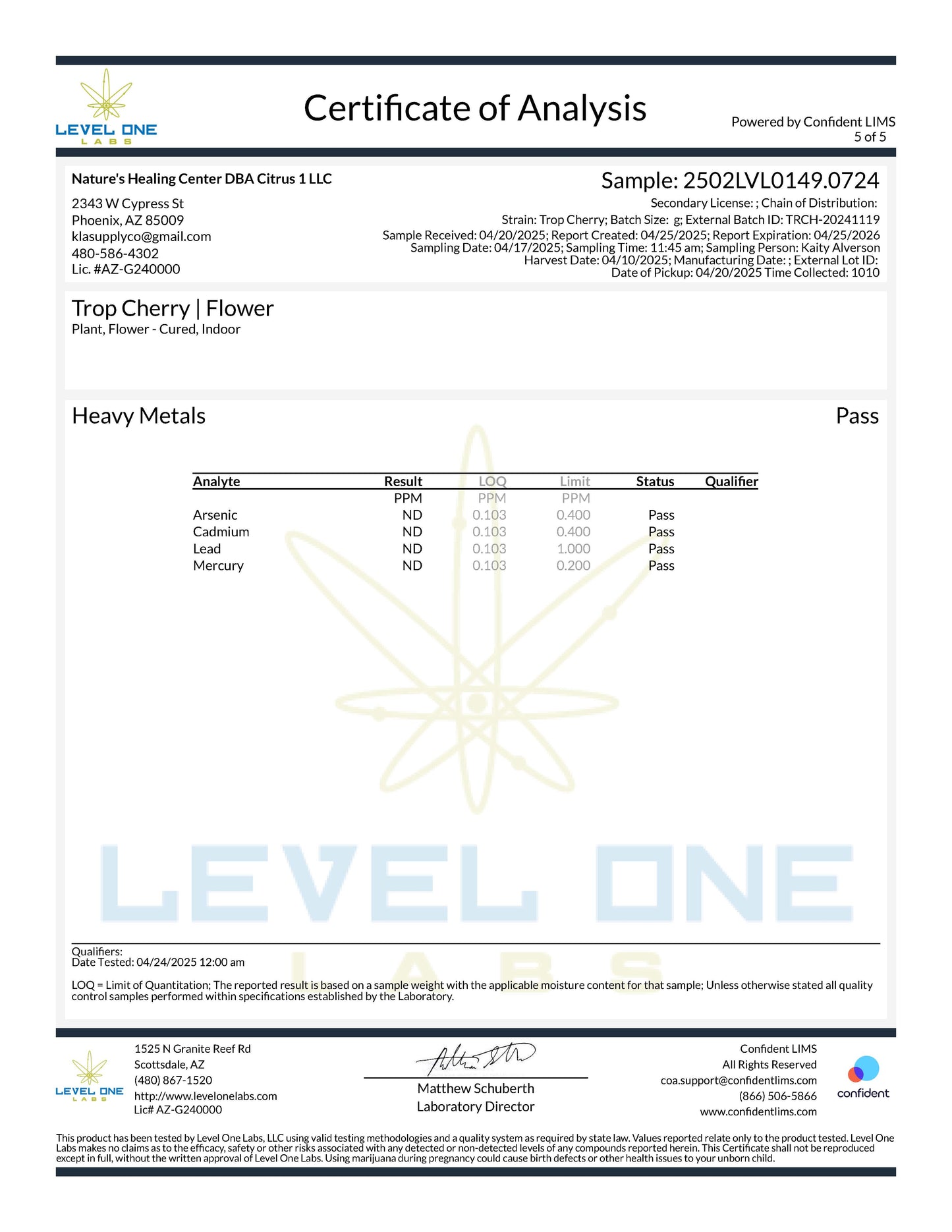 TXMMD Gold Label THCA Premium Flower